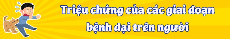 can-trong-nguy-co-benh-dai-am-tham-tang-tro-lai-title-2.png