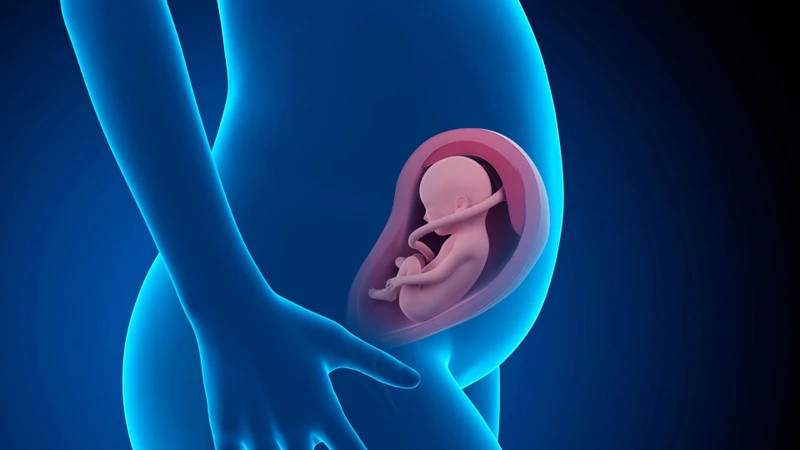 Tử cung phát triển khi thai nhi lớn lên là nguyên nhân chính gây căng tức bụng