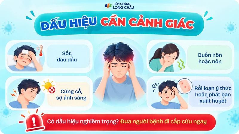 Sốt, đau đầu, cứng gáy hoặc phát ban xuất huyết là những dấu hiệu cần cảnh giác