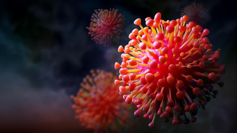 Viêm não Nhật Bản là bệnh cấp tính do virus viêm não Nhật Bản tấn công hệ thần kinh trung ương