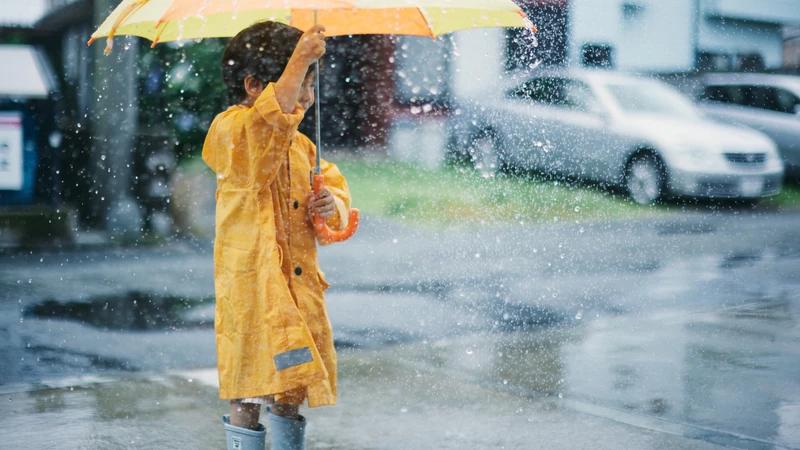 Mùa mưa thường đi kèm với sự gia tăng đồng thời của nhiều bệnh truyền nhiễm