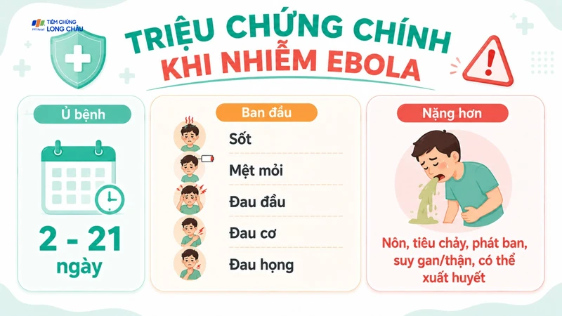 Các triệu chứng ban đầu thường xuất hiện đột ngột