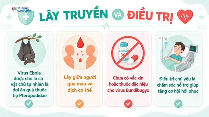 Virus Ebola được cho là có vật chủ tự nhiên là dơi ăn quả thuộc họ Pteropodidae