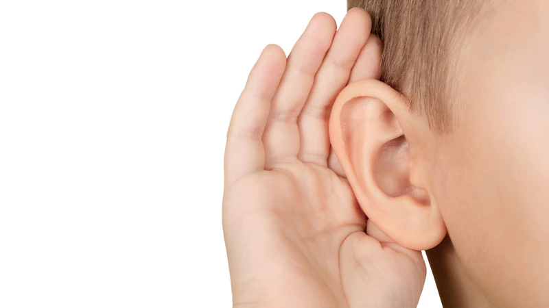 Màng nhĩ có cấu tạo và chức năng gì? Bệnh lý thường gặp và cách chăm sóc2