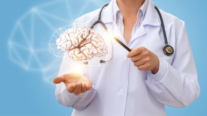 Cấu trúc và chức năng của màng não 2