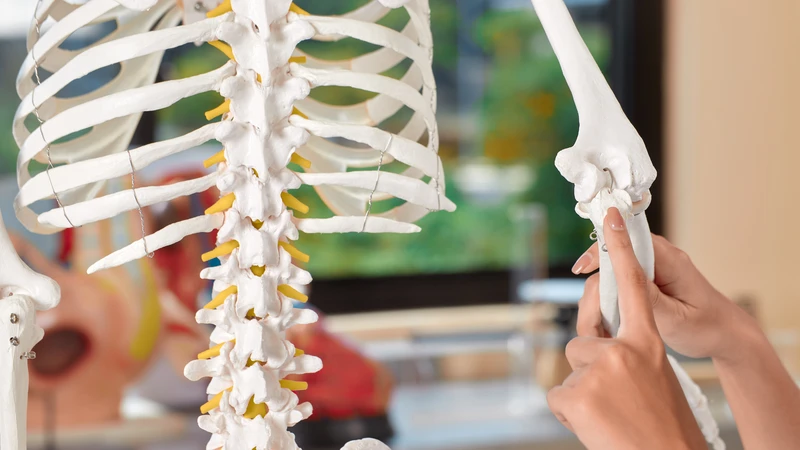 Hiệu quả hỗ trợ sức khỏe xương của ba kích cần thêm nghiên cứu lâm sàng