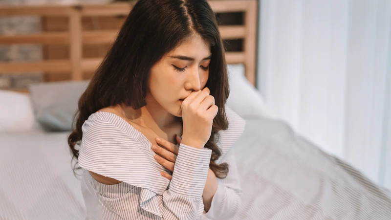 Trong y học cổ truyền, cam thảo đất thường được dùng để hỗ trợ giảm ho