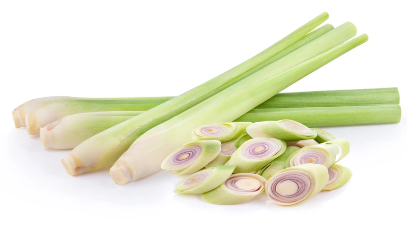 Cây sả là một trong những loài thực vật thuộc họ Hòa thảo (Poaceae)