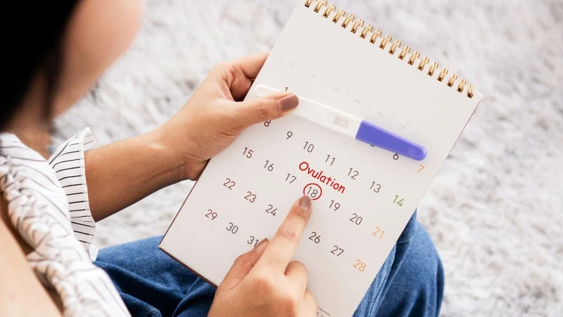 Chậm kinh 1 tháng: Dấu hiệu bình thường hay cảnh báo sức khỏe? 3