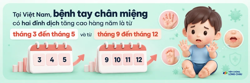 Tại Việt Nam, bệnh tay chân miệng lưu hành rộng rãi với hai đỉnh dịch tăng cao hàng năm
