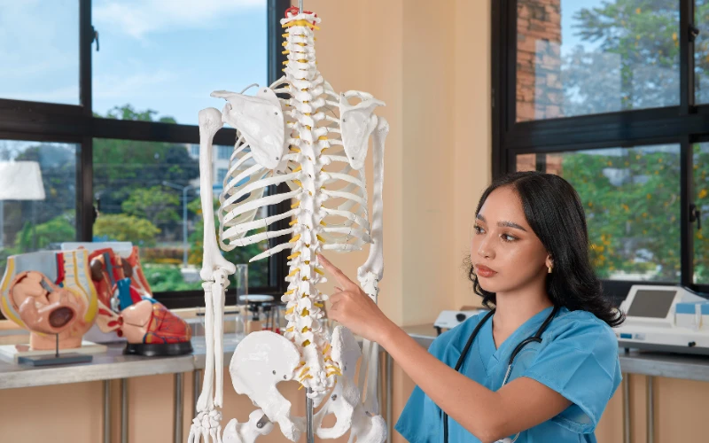 Chấn thương tủy sống gây liệt 2 chi dưới xảy ra khi chấn thương tủy sống đoạn ngực hoặc thắt lưng