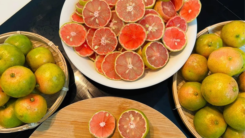 Chanh đào có lớp vỏ mỏng, ruột hồng và hương thơm đặc trưng