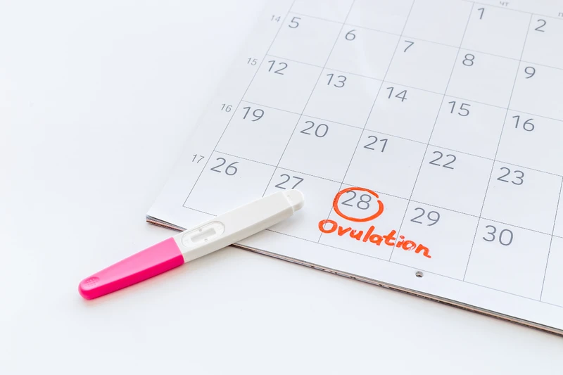 Chất nhầy ra bao lâu thì trứng rụng? Cách kiểm tra theo từng giai đoạn 2