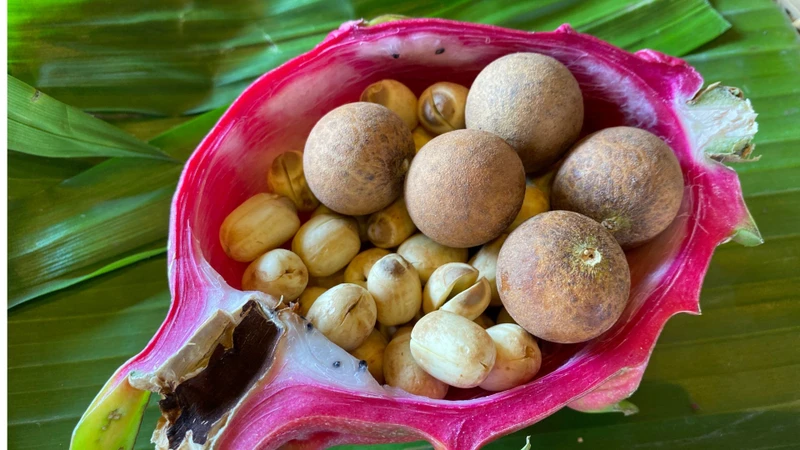 Chè Hạt Sen Long Nhãn: Món Quà Dinh Dưỡng Cho Giấc Ngủ và Sức Khỏe 1