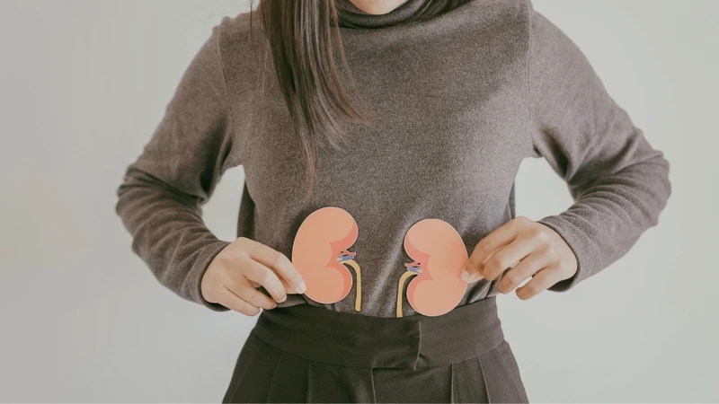Bệnh thận mạn tính làm hỏng cầu thận, khiến albumin rò rỉ vào nước tiểu