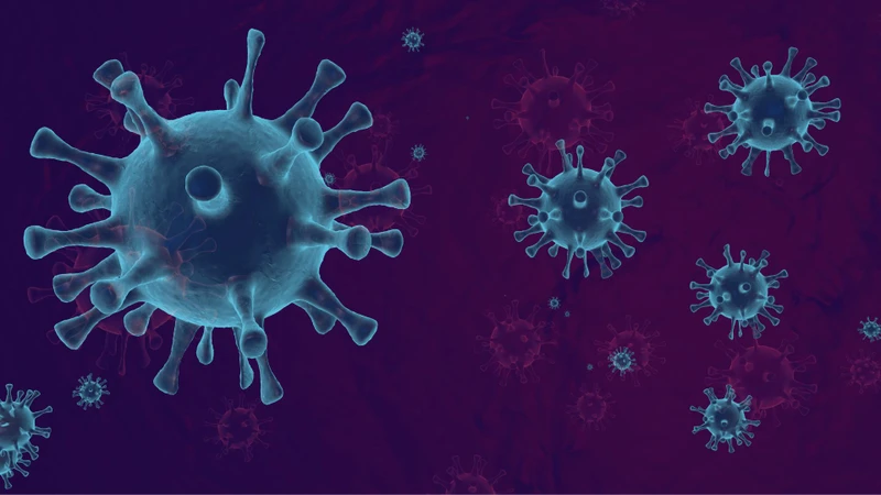 Cơ thể nhiễm virus có thể khiến bạch cầu giảm