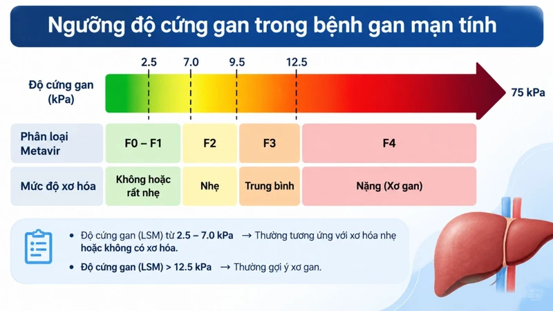 Chỉ số kPa cần được đánh giá dựa trên nguyên nhân và tình trạng gan cụ thể
