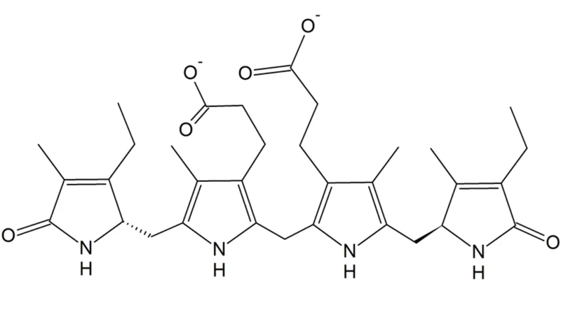 Urobilinogen là một sản phẩm trung gian trong quá trình chuyển hóa bilirubin