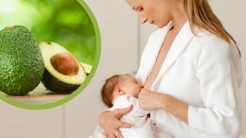 Cho con bú ăn bơ được không? Có tốt không? 1