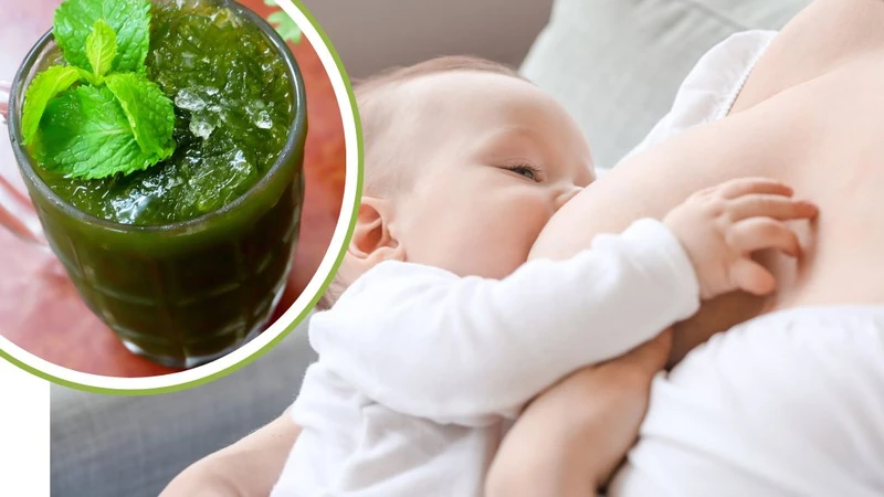 Cho con bú uống rau má được không? Lưu ý gì khi uống? 1
