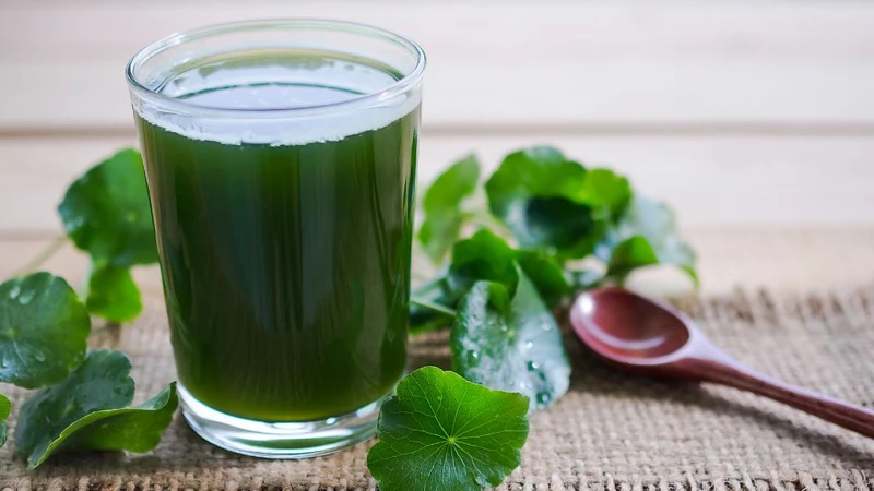 Cho con bú uống rau má được không? Lưu ý gì khi uống? 4