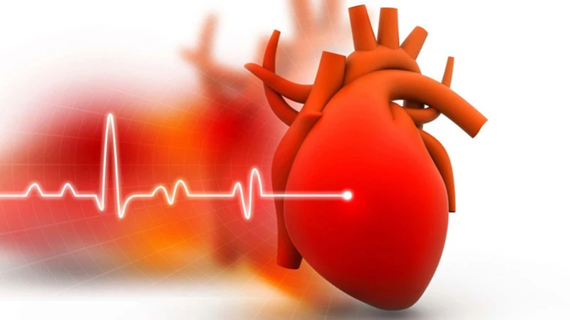 Chu kỳ hoạt động của tim được tính từ khi tim bắt đầu co bóp đến khi kết thúc giãn ra