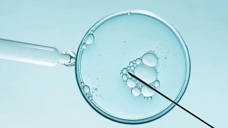 Chu kỳ IVF mất bao lâu? Thời gian thực hiện có thể khác nhau ở mỗi người