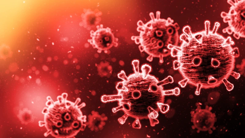 Hiểu rõ cơ chế hoạt động của virus là chìa khóa để phòng ngừa bệnh tật hiệu quả