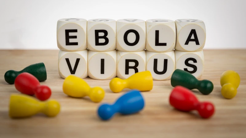 Chủng Bundibugyo của virus Ebola (BDBV) là một trong sáu chủng thuộc chi Ebolavirus