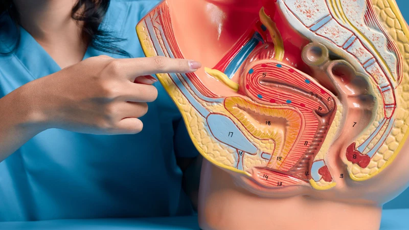 Chướng bụng: Nguyên nhân, triệu chứng và phương pháp điều trị 3
