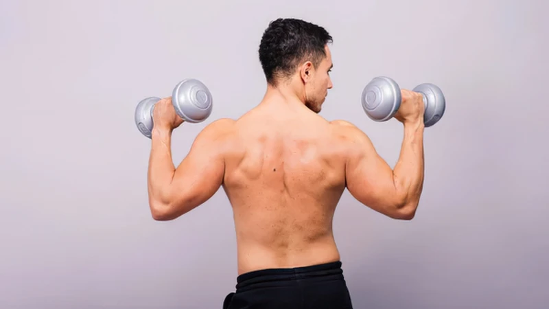 Các cơ ở lưng được sắp xếp thành nhiều lớp và nhóm khác nhau