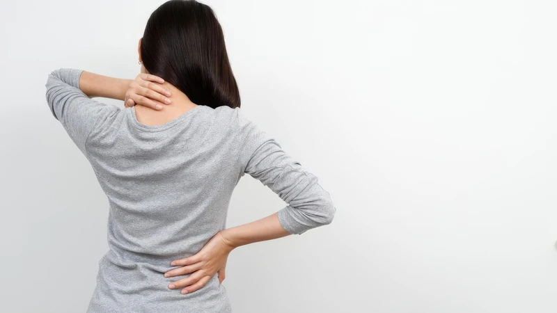 Cơ dựng sống có thể là một trong nhiều cấu trúc liên quan đến đau lưng