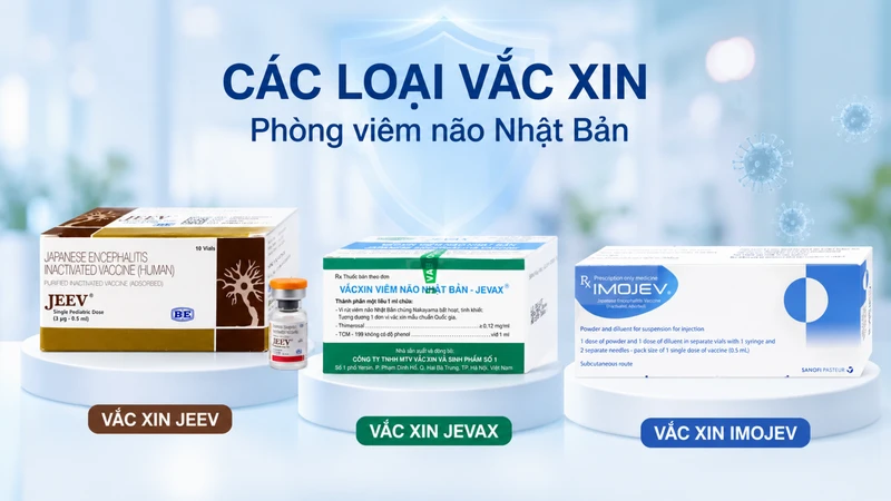 Có mấy loại vắc xin viêm não Nhật Bản B tại Long Châu?