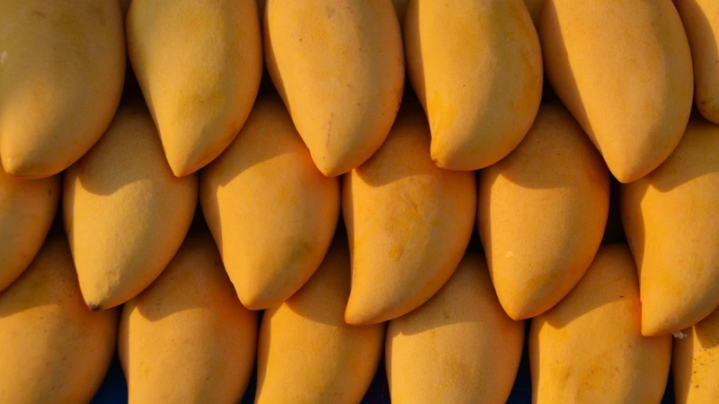 Có nên ăn xoài mỗi ngày không