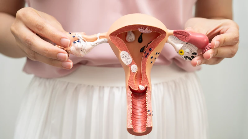 Giải đáp trực tiếp câu hỏi có nên đặt thuốc phụ khoa hàng tháng