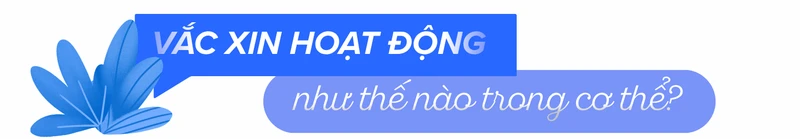 co-nen-doi-dich-roi-moi-tiem-hieu-dung-de-bao-ve-suc-khoe-kip-thoi-3.png