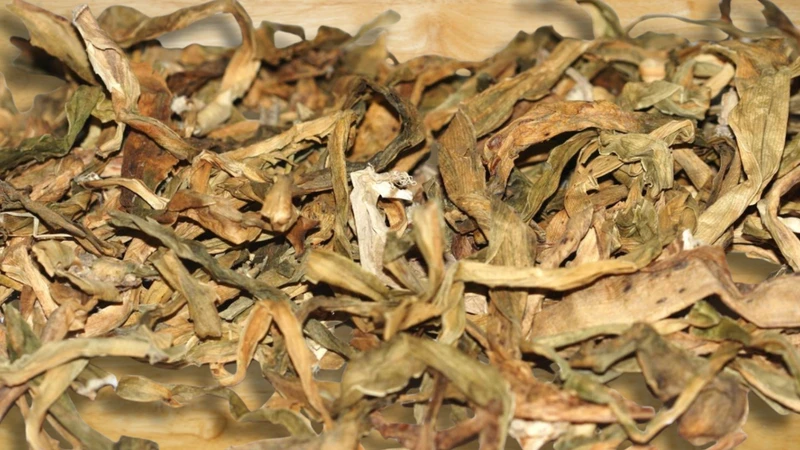 cong-dung-cua-cay-trinh-nu-hoang-cung-doi-voi-suc-khoe-va-mot-so-luu-y-khi-dung-5.jpg