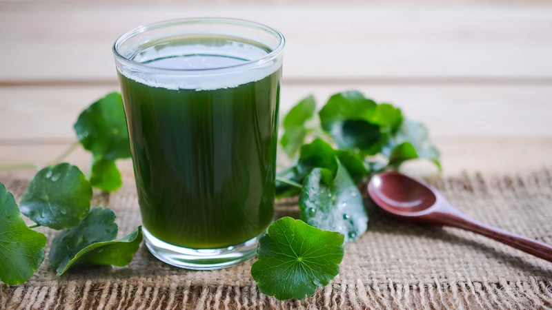 Các hợp chất chống oxy hóa trong rau má giúp hạn chế tác động của các gốc tự do lên tế bào da