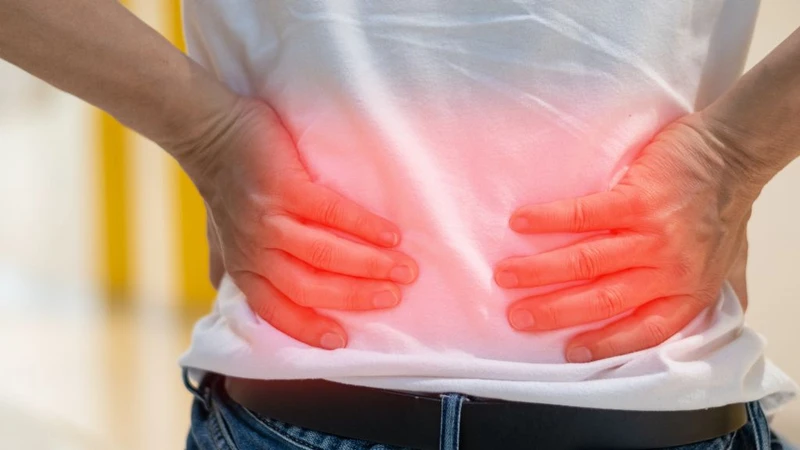 Đốt sống trong hệ xương có vai trò gì? Cột sống có bao nhiêu đốt sống?3