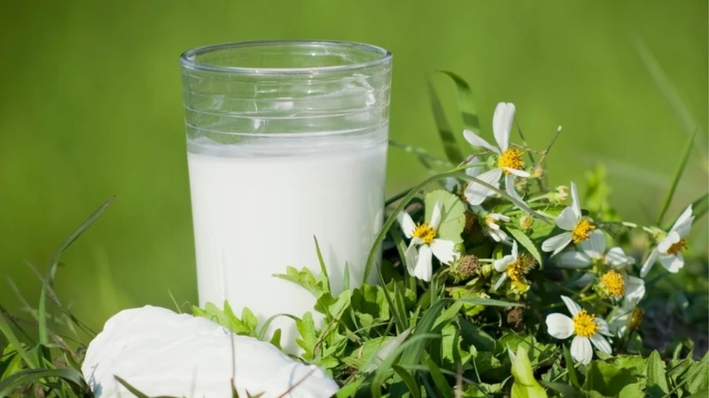 Sử dụng sắn dây đúng cách để phát huy tối đa lợi ích cho sức khỏe