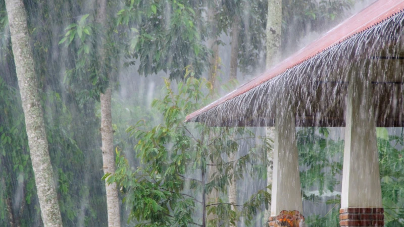 Nước đọng tạo điều kiện cho muỗi truyền sốt xuất huyết sinh sản
