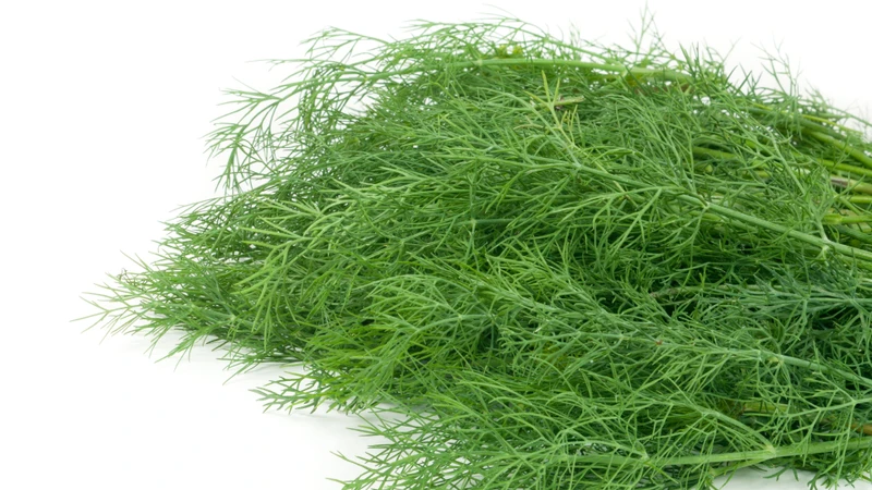 Rau thì là thường được dùng trong các món ăn nhằm giúp giảm cảm giác đầy hơi, khó tiêu