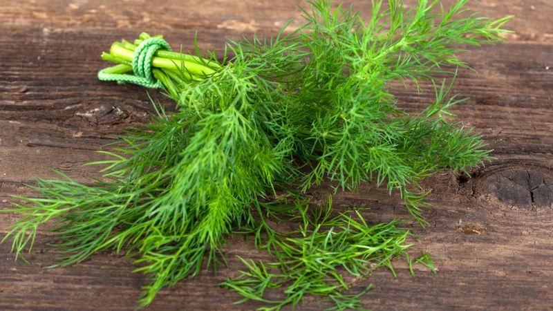 Tinh dầu từ thì là có thể mang lại cảm giác thư giãn nhẹ, góp phần cải thiện trạng thái dễ chịu của cơ thể