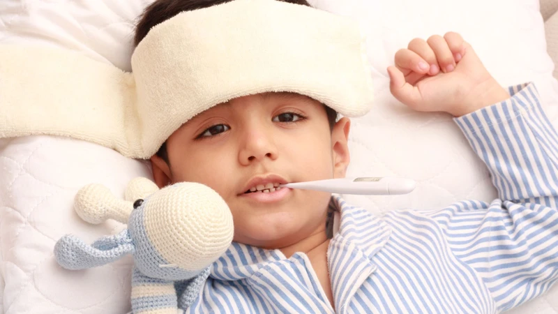Đặc điểm gây bệnh sốt thương hàn của Salmonella và những điều cần biết 3