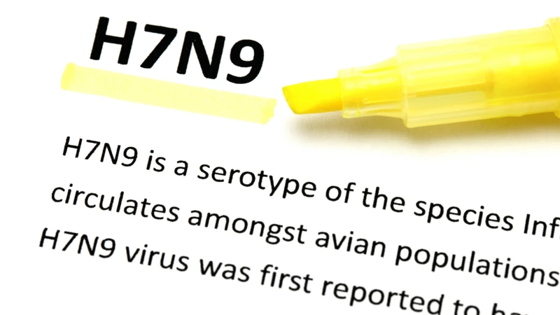 Bệnh do vi rút cúm A(H7N9) được bổ sung vào nhóm bệnh truyền nhiễm đặc biệt nguy hiểm