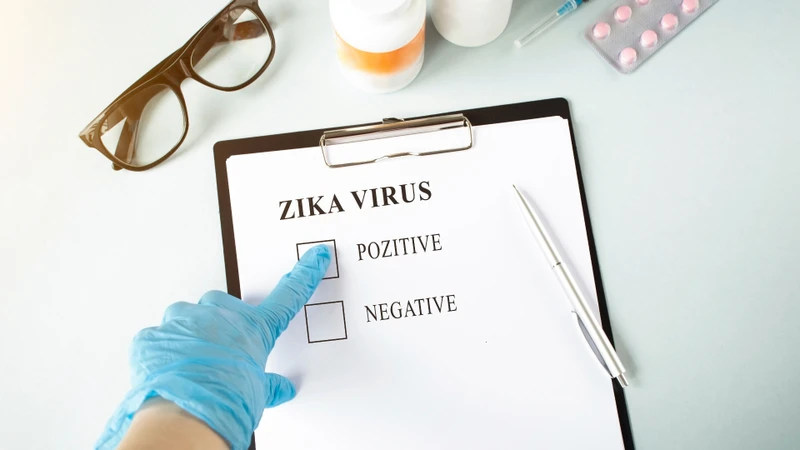 Bệnh do vi rút Zika thuộc nhóm bệnh truyền nhiễm nguy hiểm