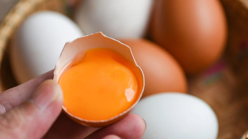 Danh sách những thực phẩm giàu vitamin D3 mà bạn không nên bỏ qua 2