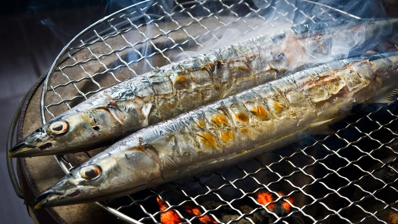 Cá thu và cá ngừ giàu omega-3, vitamin D và protein, giúp bảo vệ võng mạc