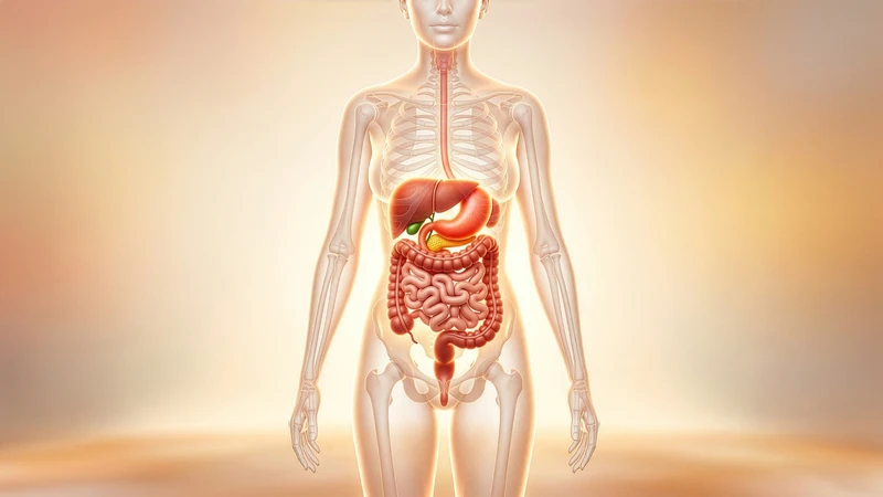 Cơ thể hoạt động không ngừng nghỉ mỗi ngày để đào thải độc tố