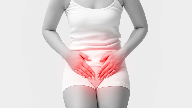 Nguyên nhân đau bụng dưới gần mu có thể đến từ nhiều hệ cơ quan
